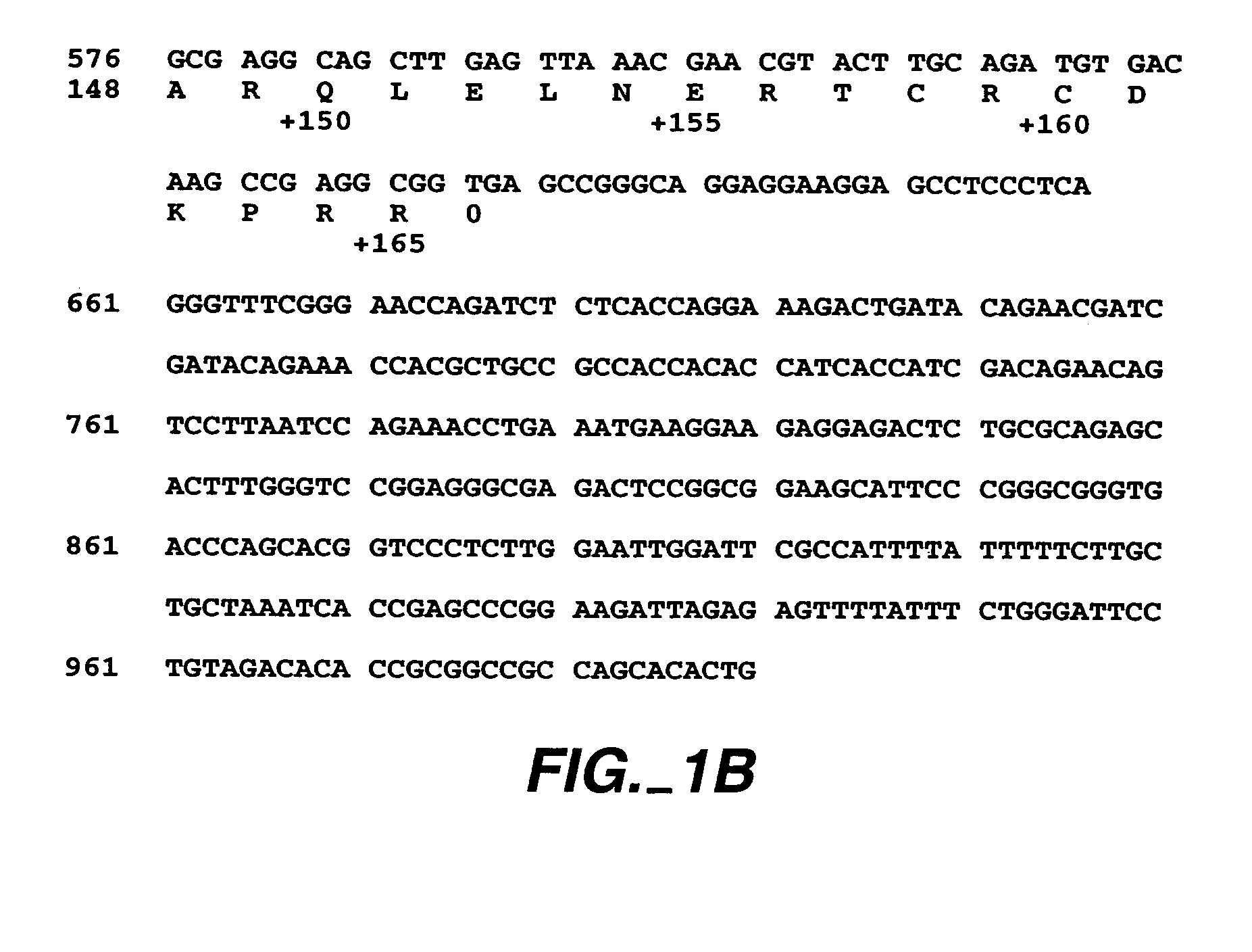 Vascular endothelial cell growth factor variants and uses thereof