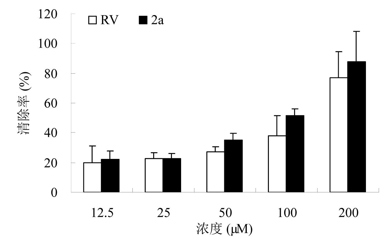 Resveratrol analogue and preparation method and application thereof