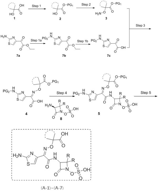 Beta-lactam compound and application and preparation method thereof