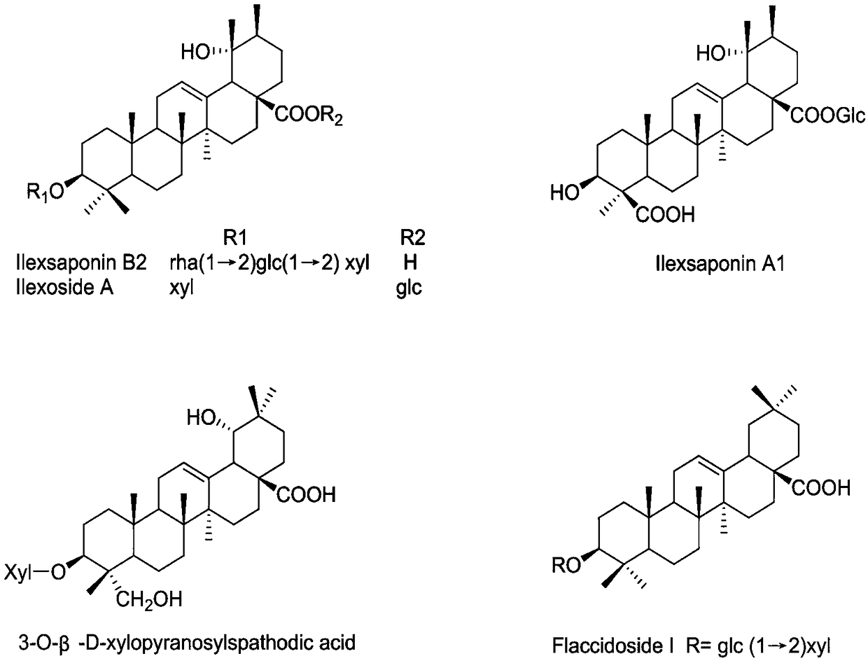 Application of ilexsaponin in preparation of anti-diabetic medicines