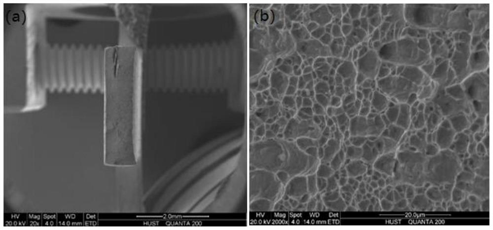 A precipitation-strengthened high-entropy alloy without sigma phase precipitation tendency and its preparation method