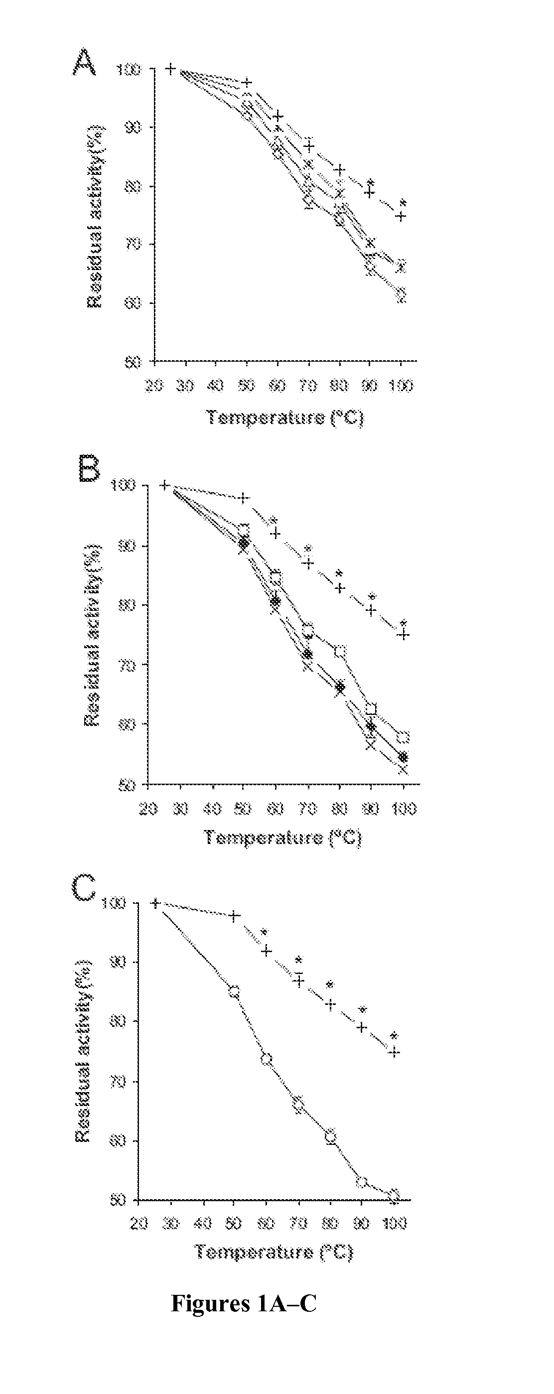 MUTANTS OF ASPERGILLUS NIGER PhyA PHYTASE AND ASPERGILLUS FUMIGATUS PHYTASE