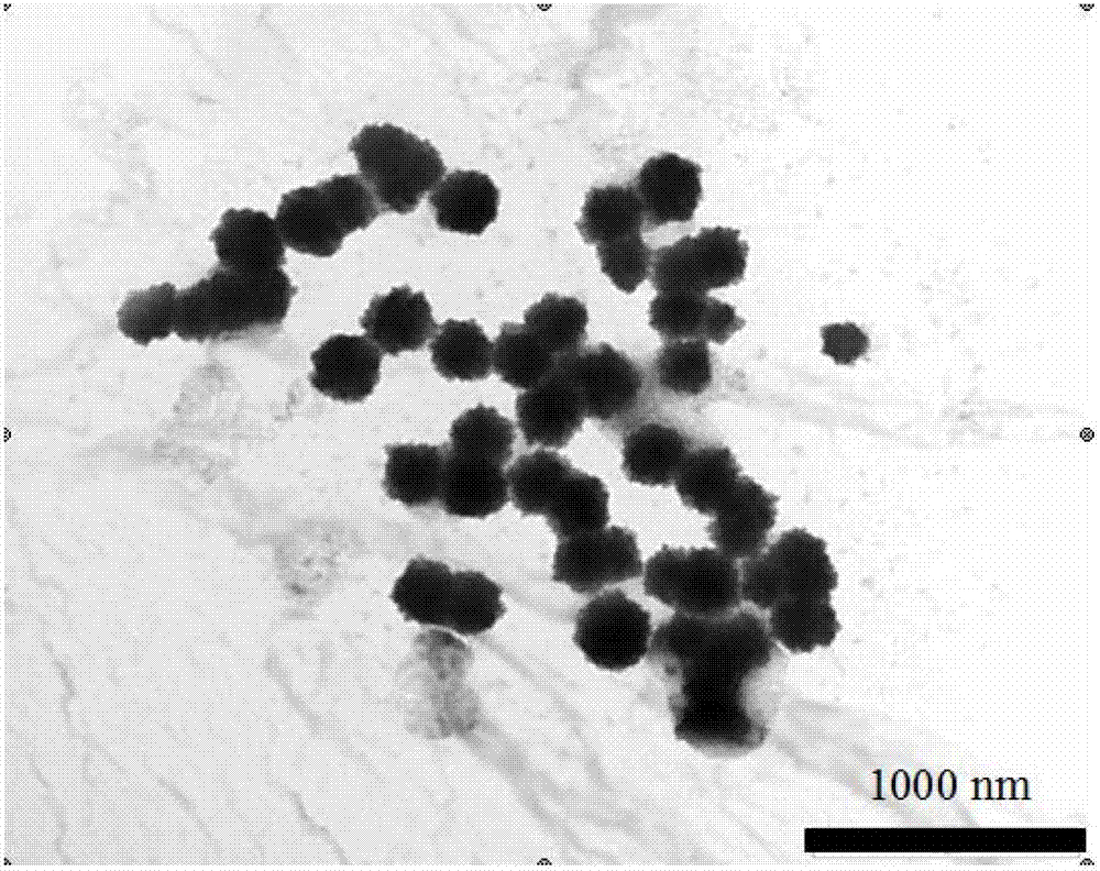 Novel anti-tumor nano-drug carrier and preparation method and application thereof