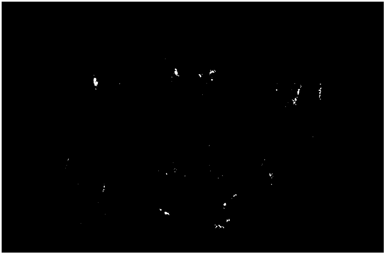 Modified atmosphere packaging and fresh keeping method of green-peel walnuts