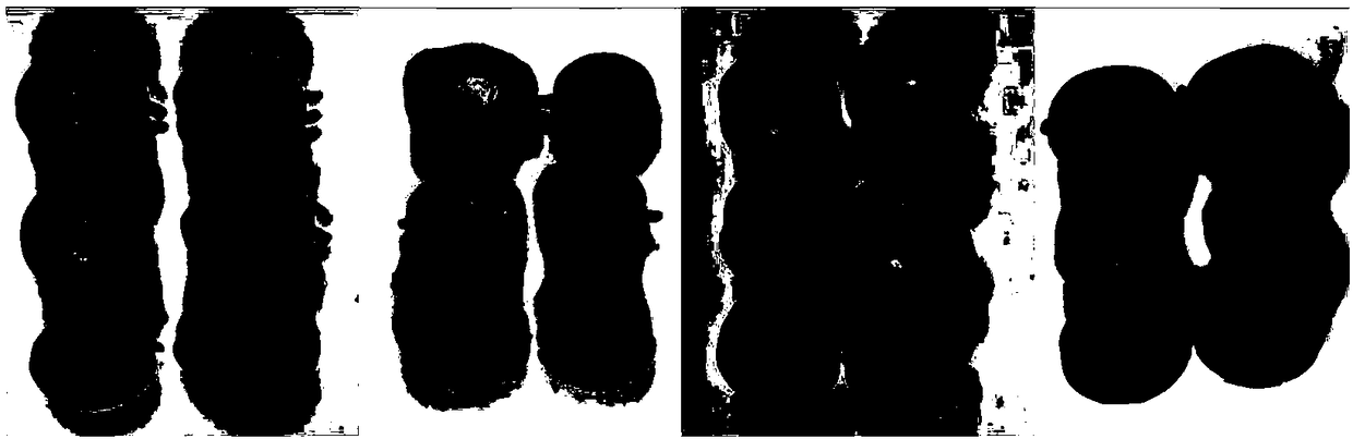 Modified atmosphere packaging and fresh keeping method of green-peel walnuts