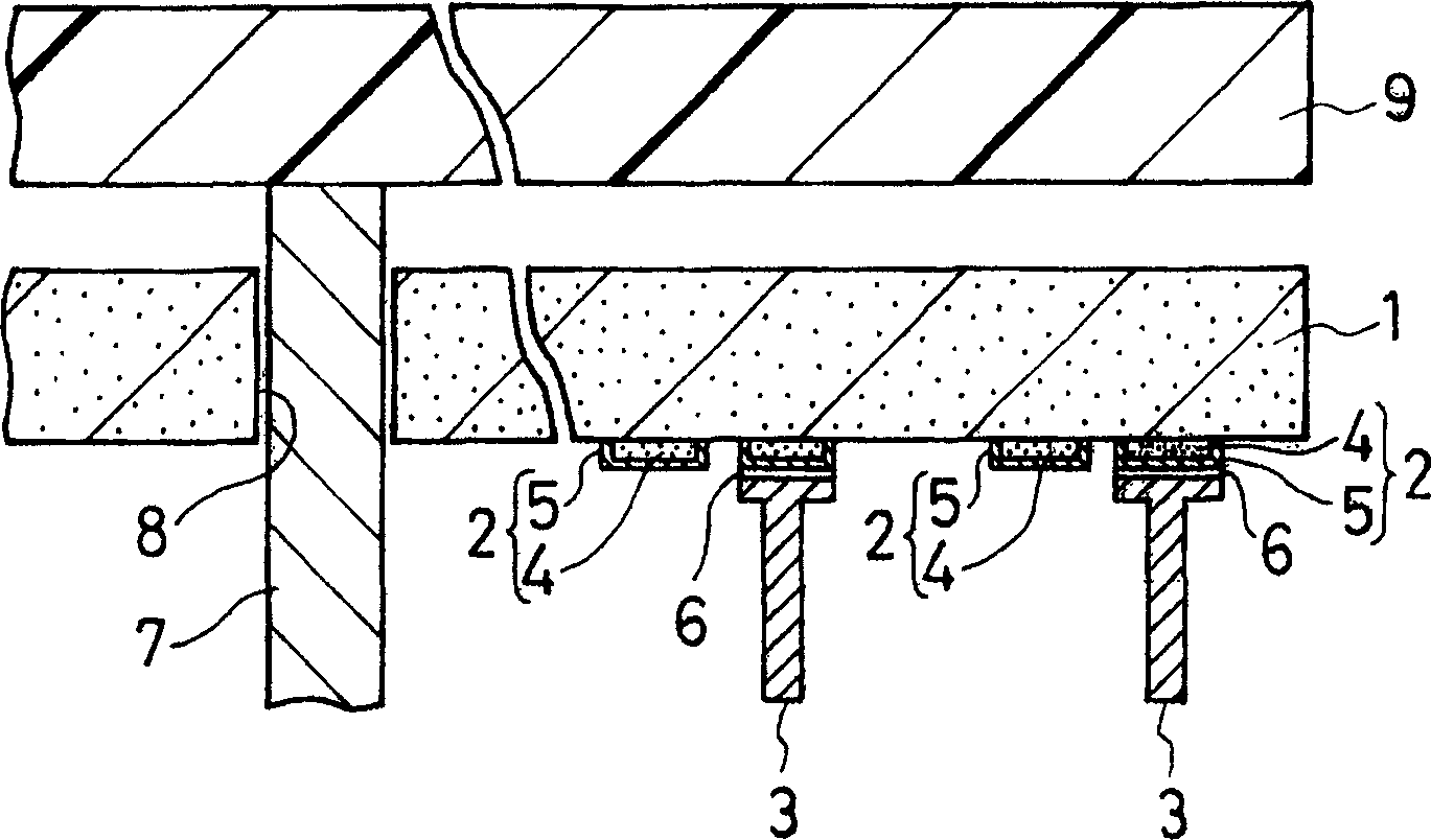 Ceramic heater