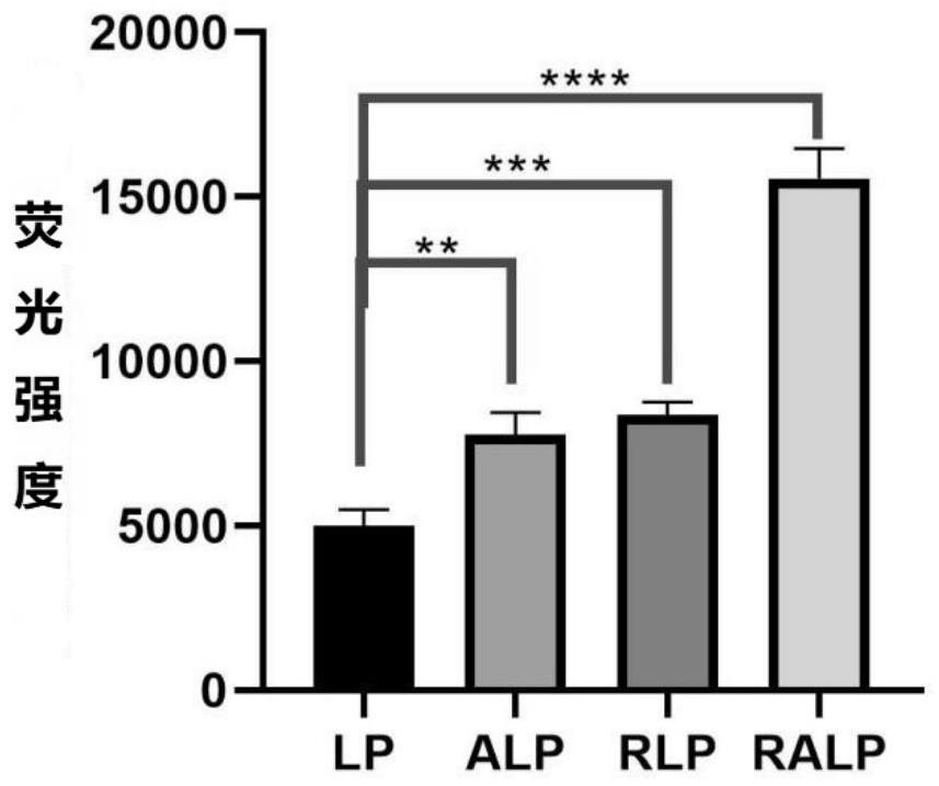 Brain-targeted liposome containing cholinesterase heavy activator as well as preparation method and application of brain-targeted liposome