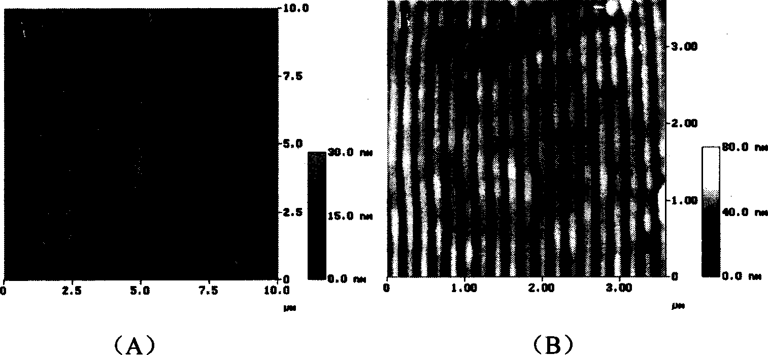 Laser prepn process of directionally arranged nanometer channel regulating cell