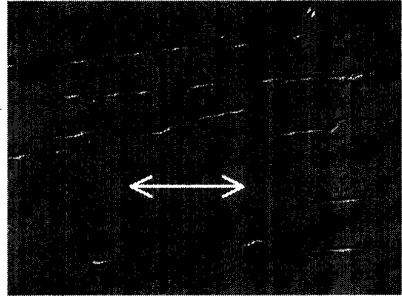 Laser prepn process of directionally arranged nanometer channel regulating cell