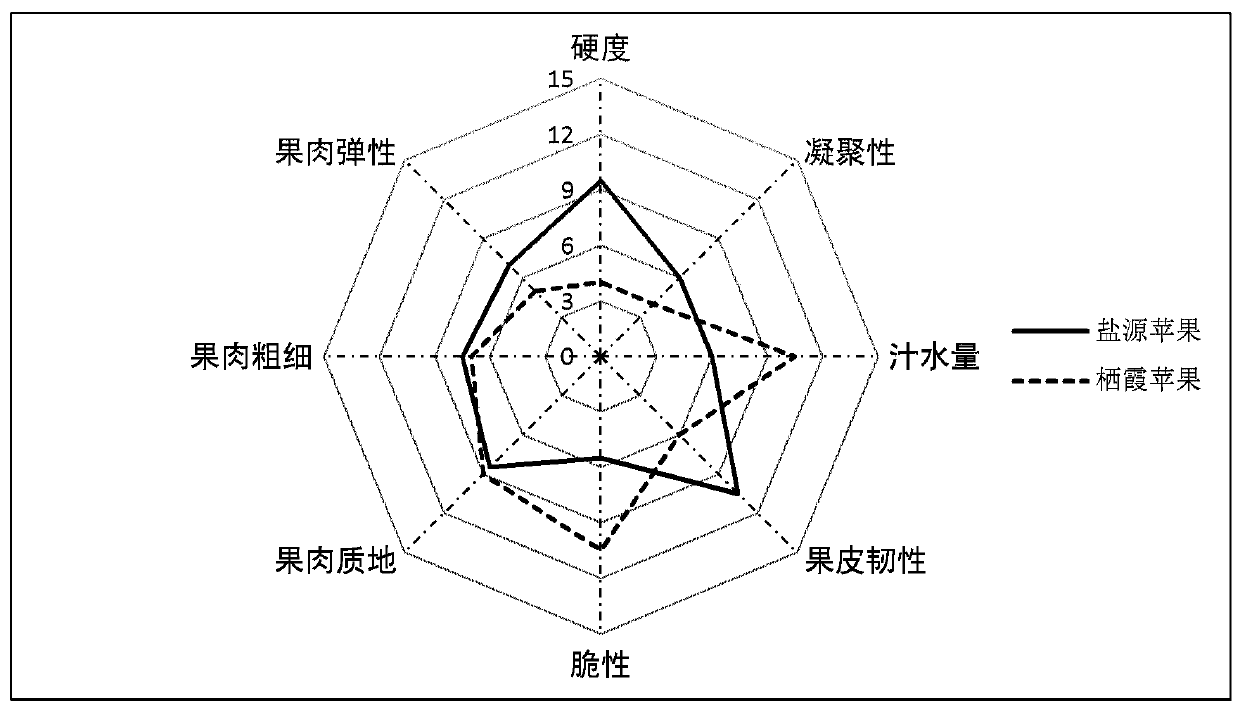 Apple sensory quality data processing system and method