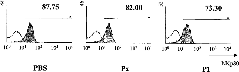 Polypeptide capable of binding to NKp80 receptor and application thereof