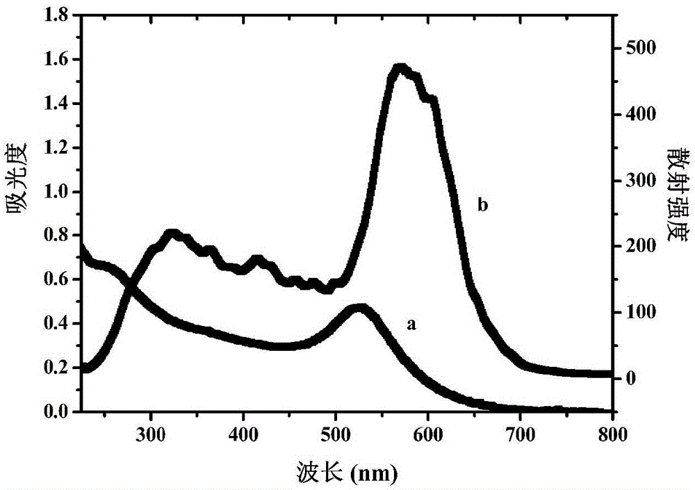 Chicken IgY- standard curve producing method and detection method using rabbit anti-chicken IgY- nanogold immune scattering probe