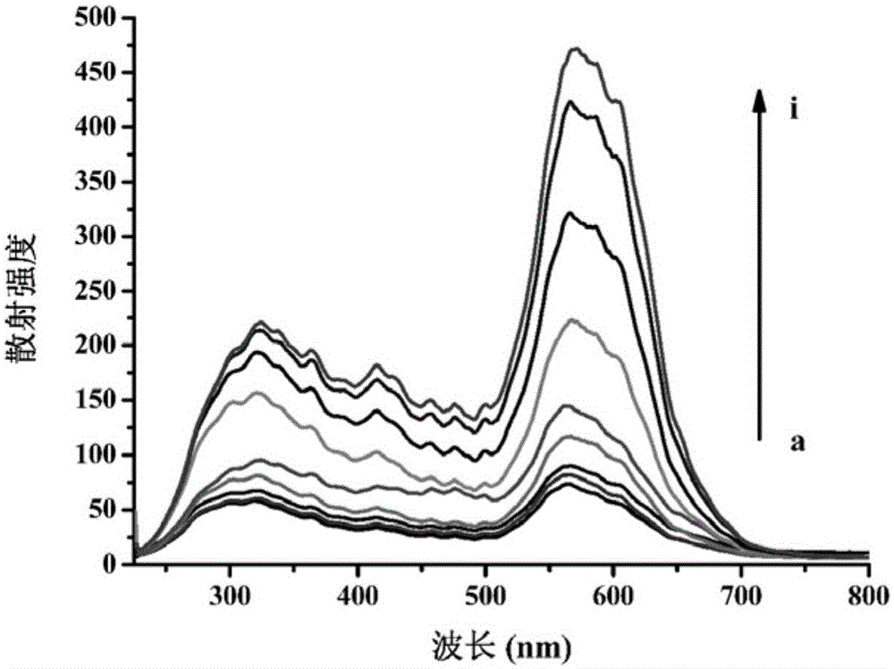 Chicken IgY- standard curve producing method and detection method using rabbit anti-chicken IgY- nanogold immune scattering probe