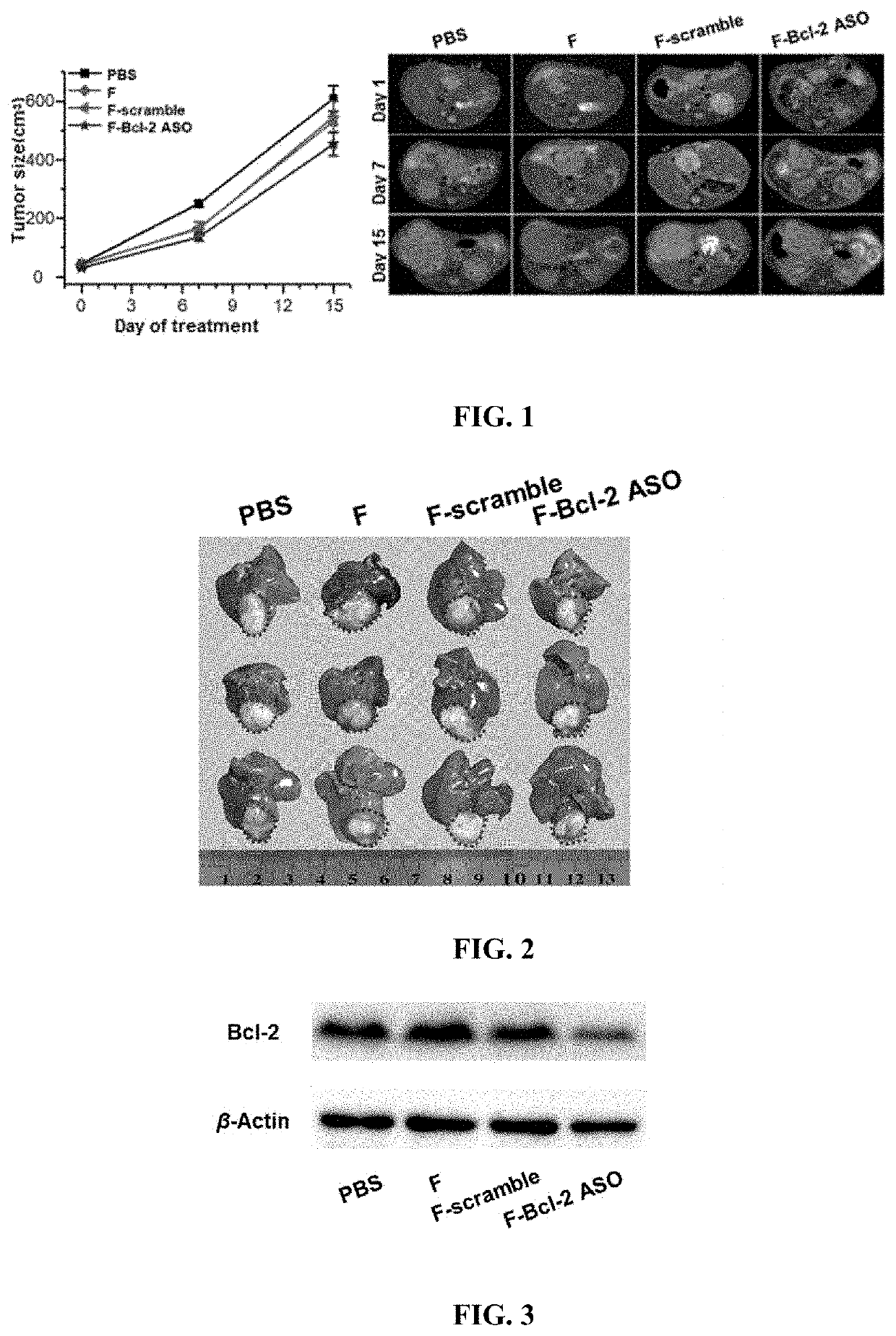 Functional nucleic acid having nucleoside analog drug integrated into skeleton, derivative and use thereof