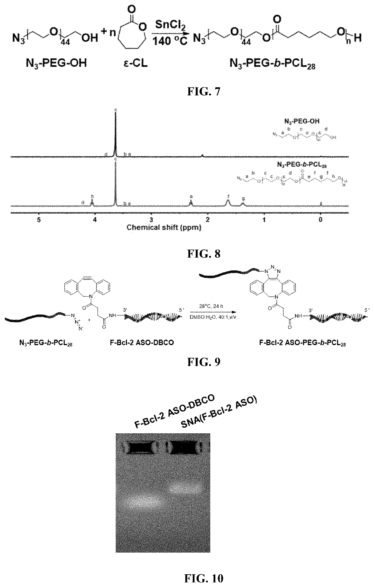 Functional nucleic acid having nucleoside analog drug integrated into skeleton, derivative and use thereof