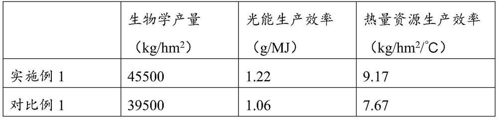 Double-cropping silage corn-winter wheat high-yield and high-efficiency planting method