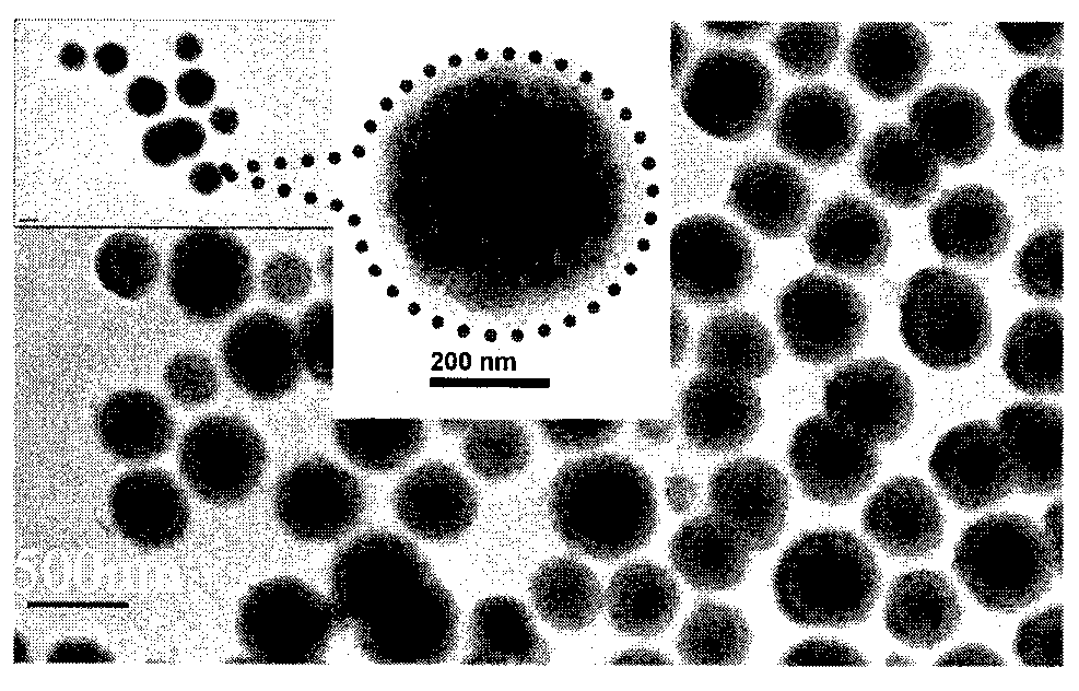 Core-shell-structured nano-particles modified with 8-aminoquinoline derivative, and preparation method and application thereof