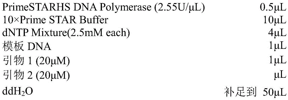 Esterase and application thereof