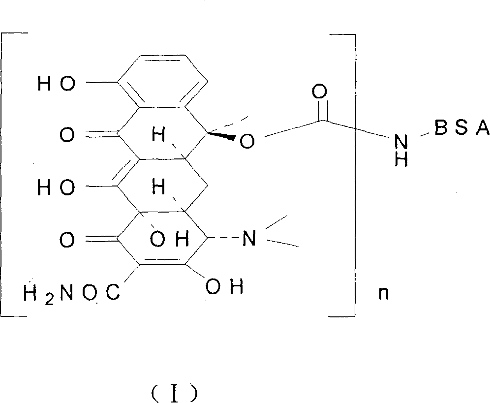 Coupling compound of tetracycline, preparation process and application thereof