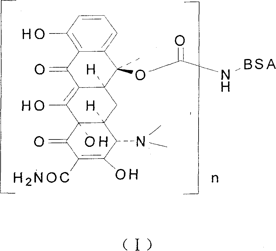 Coupling compound of tetracycline, preparation process and application thereof