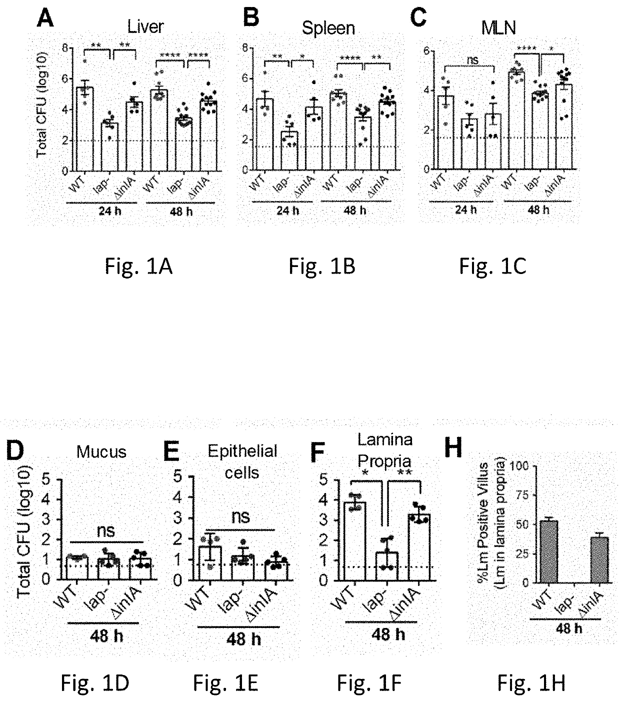 Peptide-mediated drug delivery across epithelial barrier