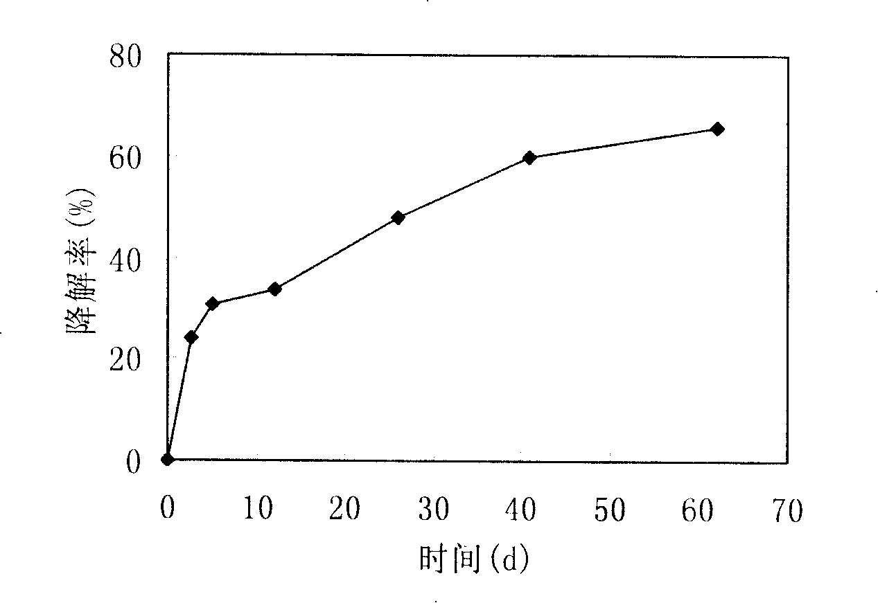 Method for preparing immobilization microorganism particles using pottery ball as carrier