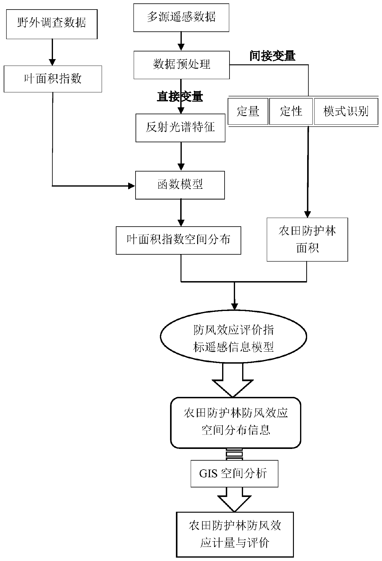 Farmland protection forest windproof effect metering method based on spatial information technology