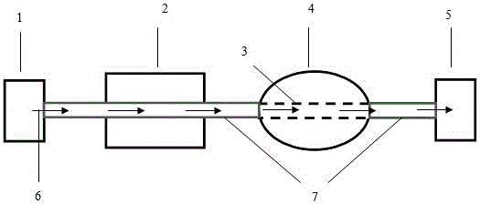 Method for rapidly testing in-vivo absorption of soluble protein of food