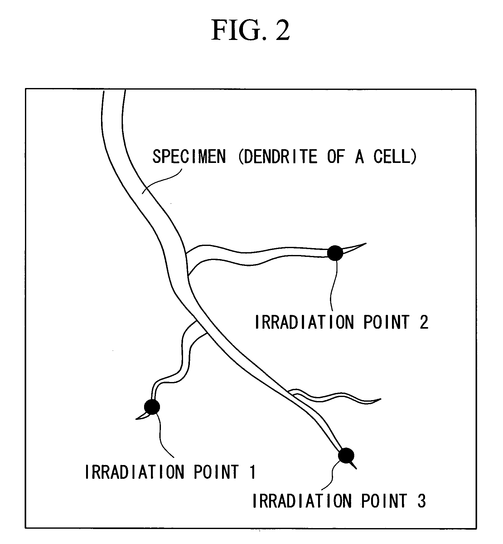 Laser microscope and control method for the same