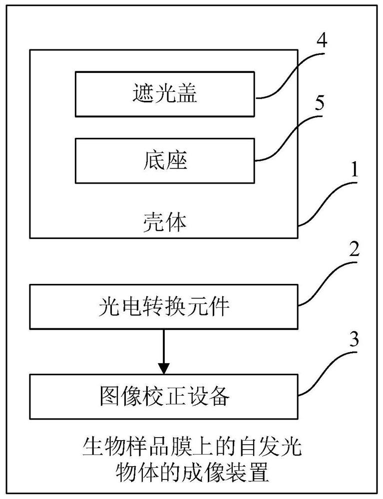 Imaging method and device for self-luminous object on biological sample film