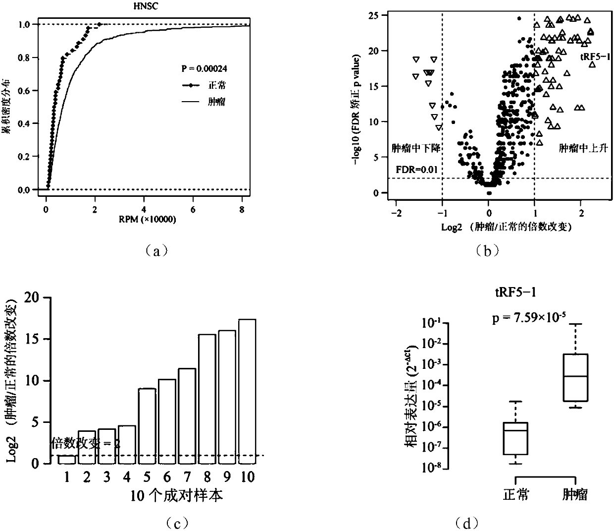 Novel molecular marker and application thereof in preparing kit for diagnosis and prognosis of head and neck cancer