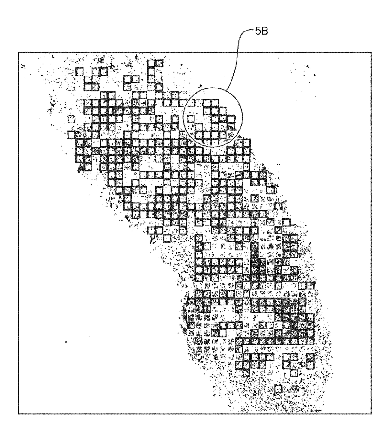 Quality metrics for automatic evaluation of dual ish images