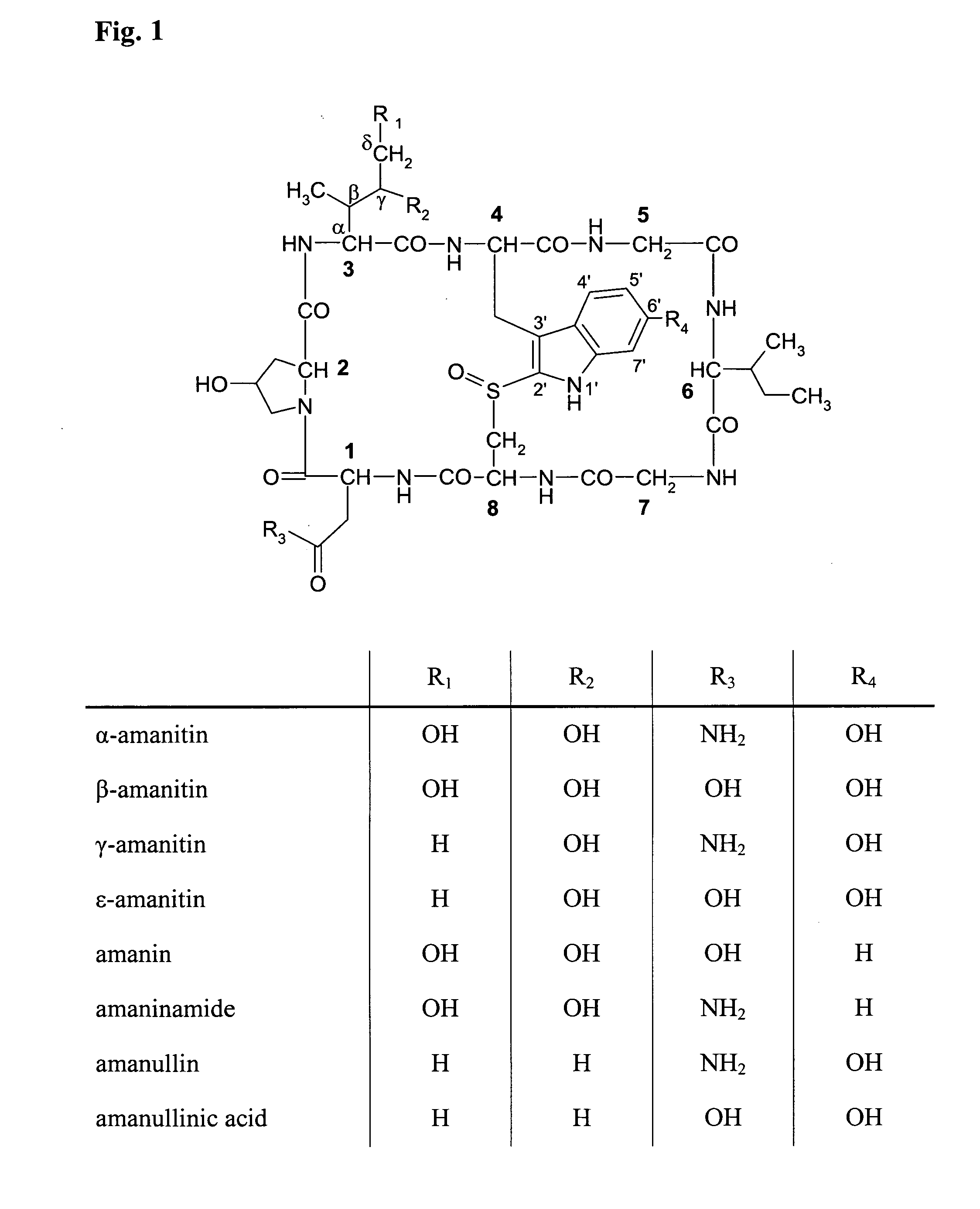 Amatoxin-Armed Tartget-Binding Moieties for the Treatment of Cancer