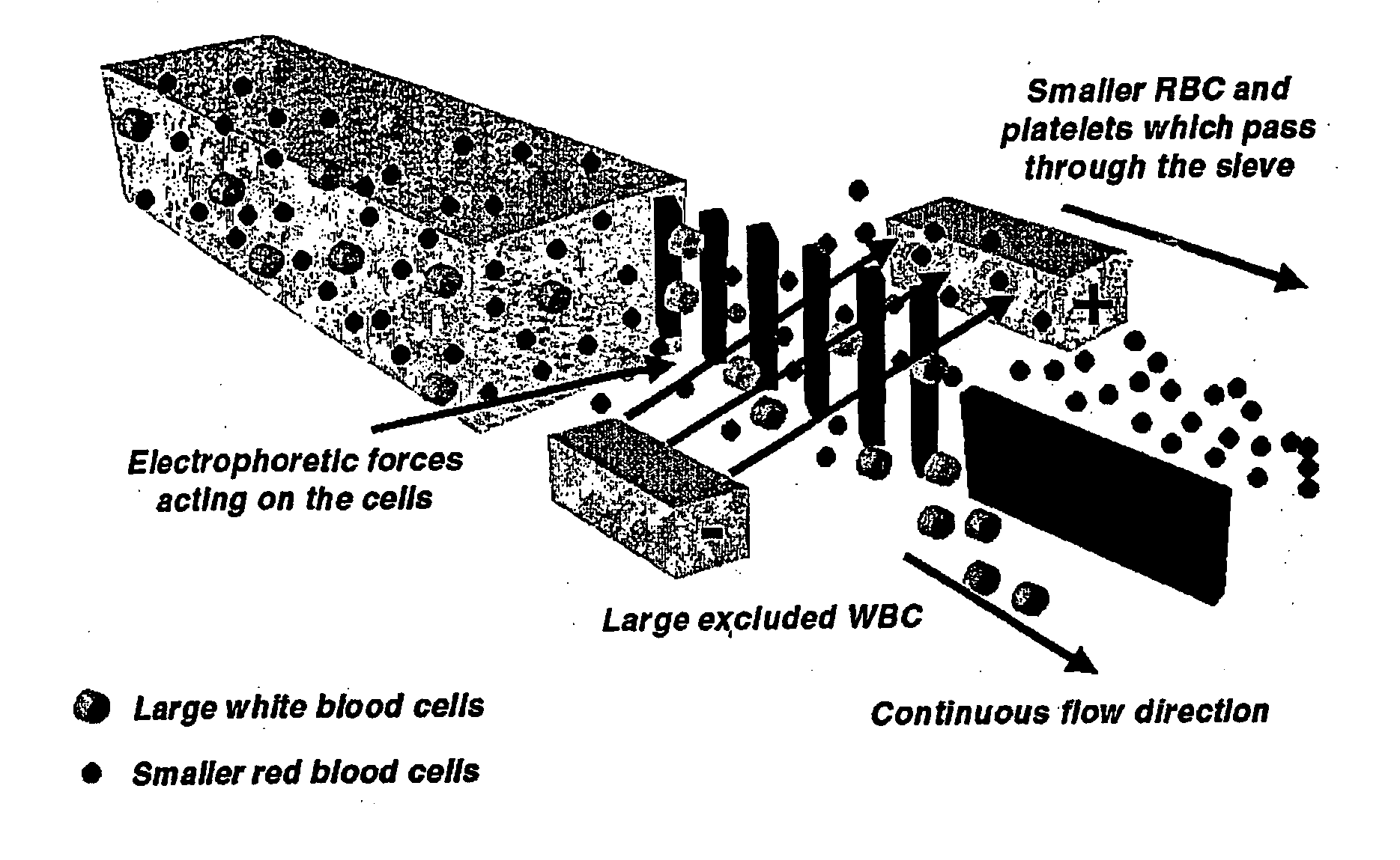 Microfluidic systems for size based removal of red blood cells and platelets from blood