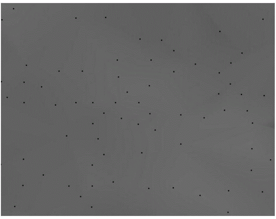 Ornament surface area rapid detection method and system based on image analysis technique