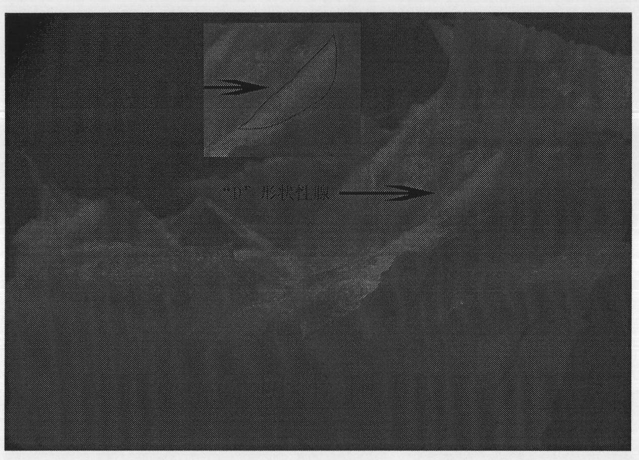 Convenient sex estimation method for juvenile flounder