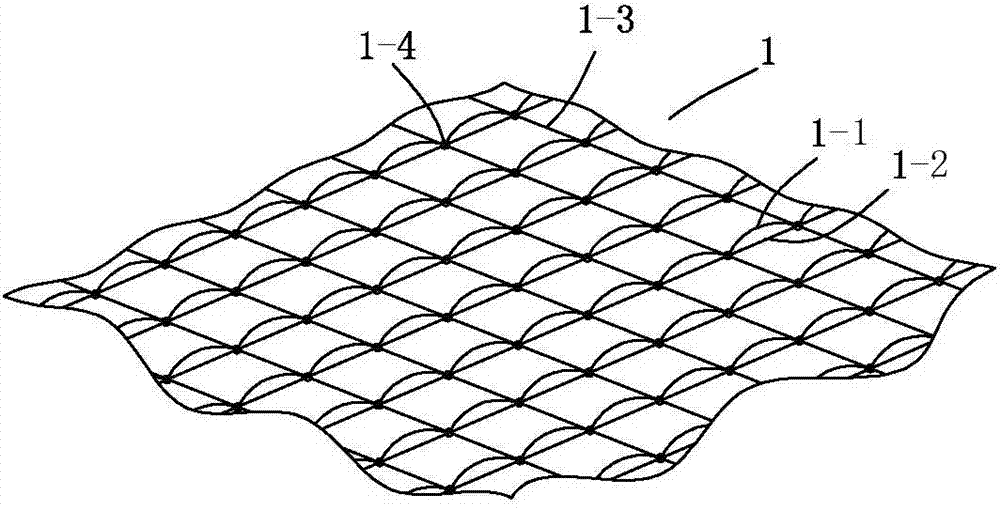 A kind of warp-knitted polyester glass fiber three-dimensional slope-fixing soil grid and its preparation method