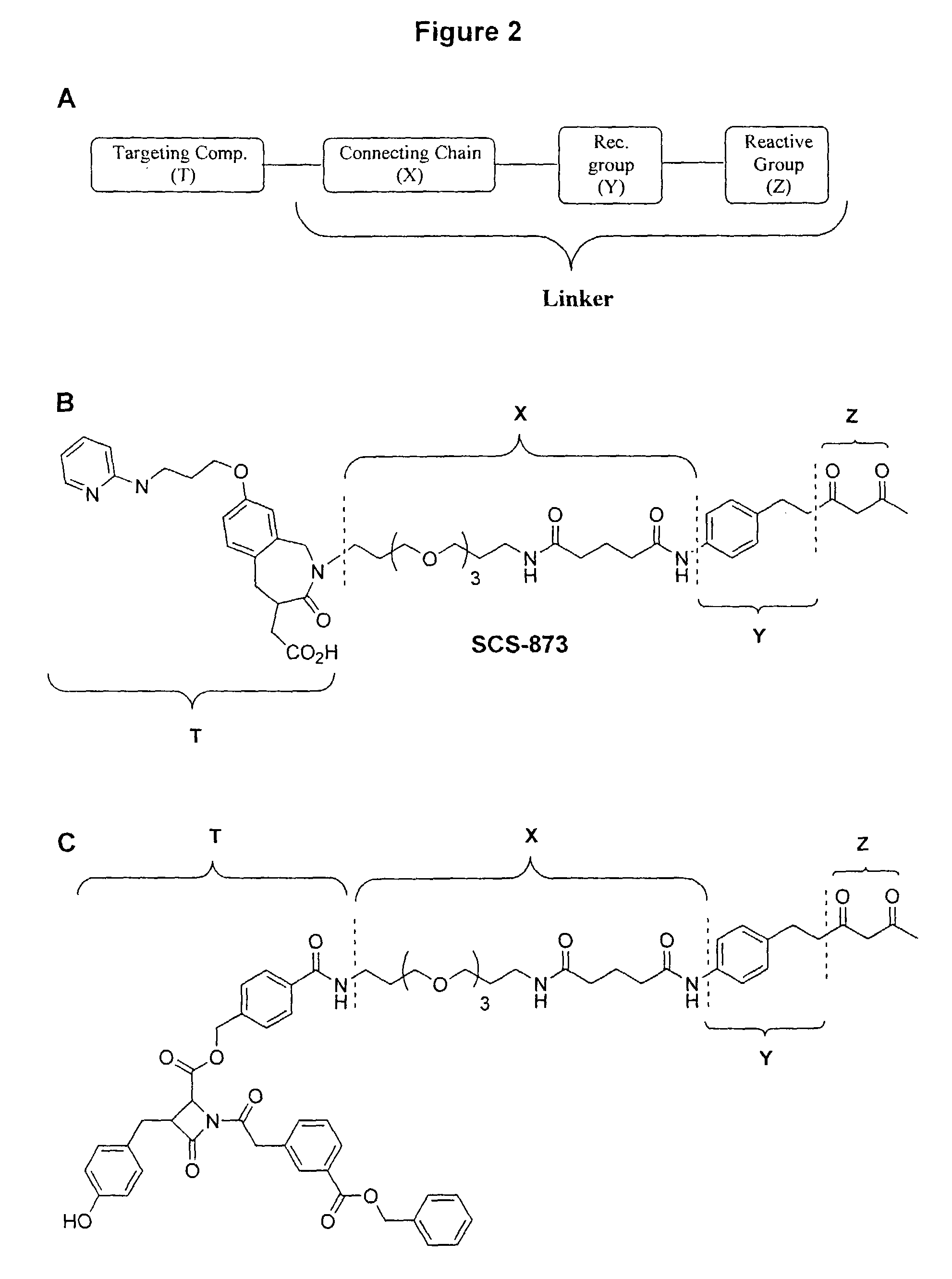 Antibody targeting compounds