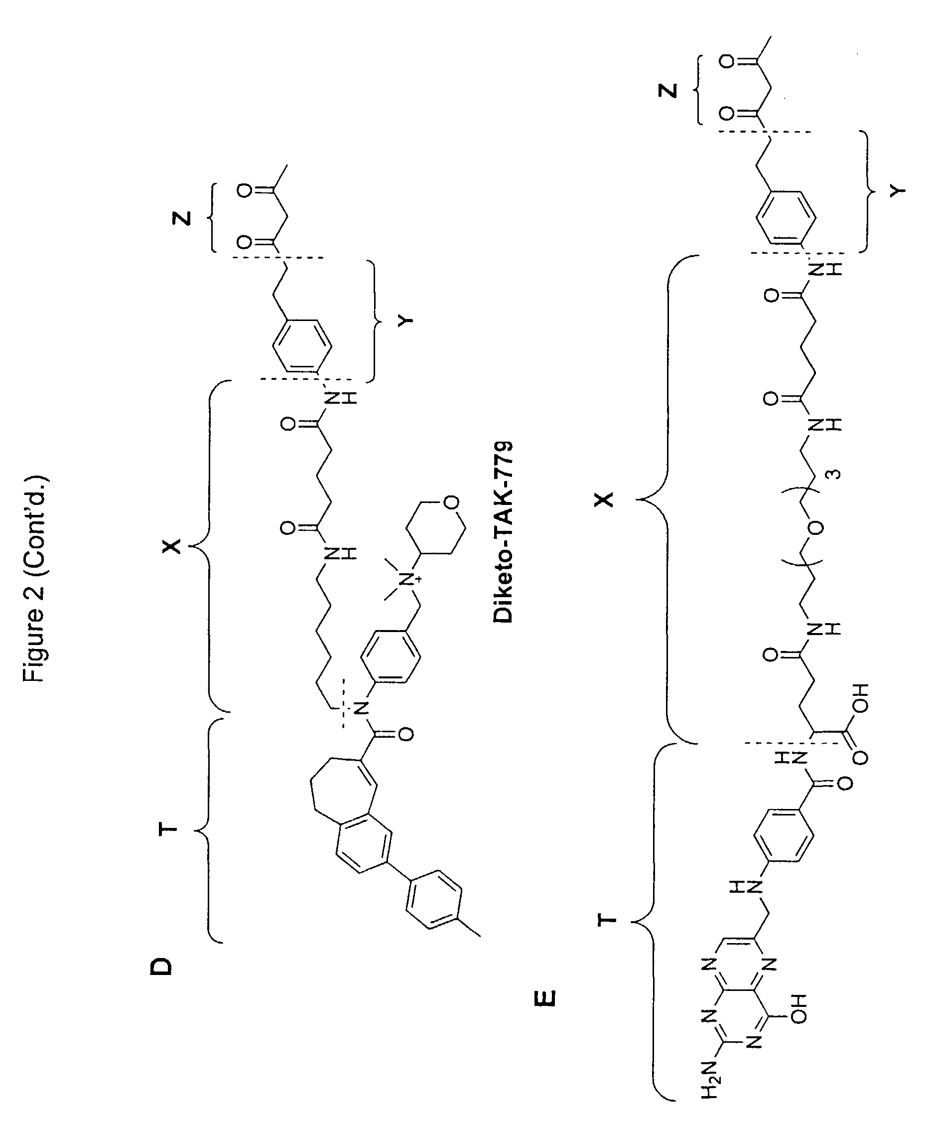 Antibody targeting compounds