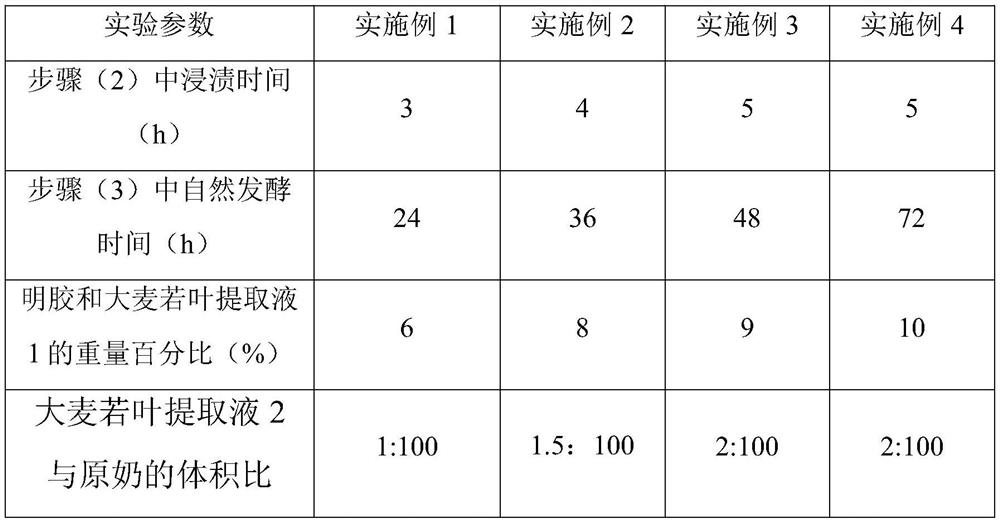 Preparation method of barley leaf yoghourt