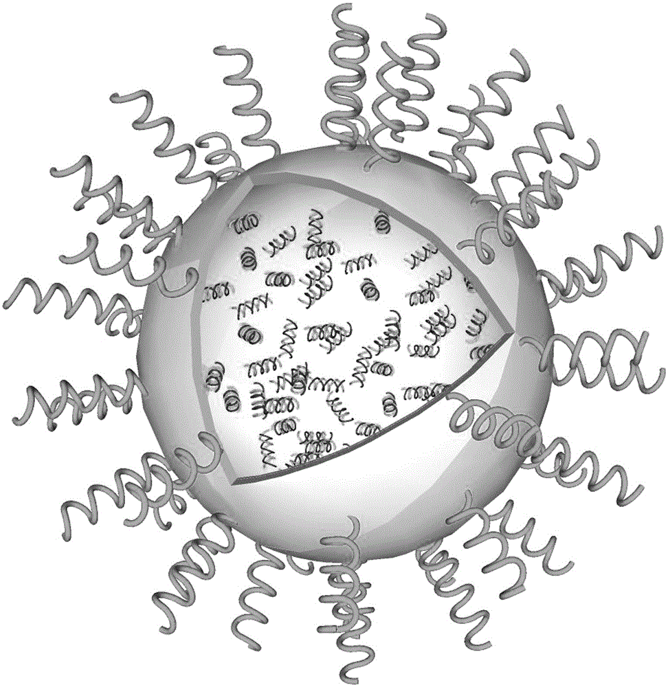 Liposome delivery system for treating cartilage diseases and preparation method of liposome delivery system