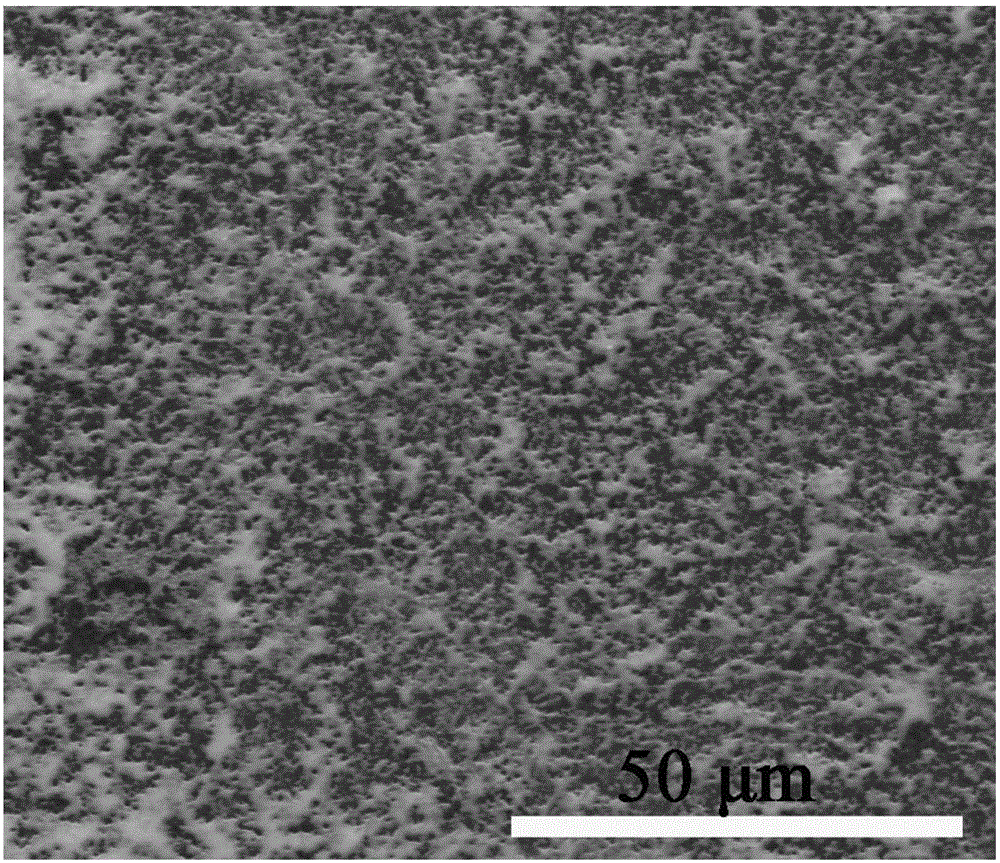 Amphiphilic modified nano lamellar molybdenum-selenide-based auxiliary agent used for carbon fiber sizing agent