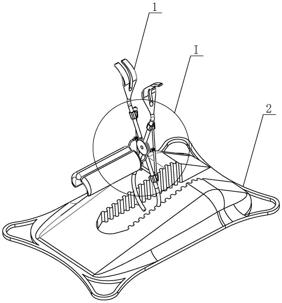 Support device for umbilical cord prolapse