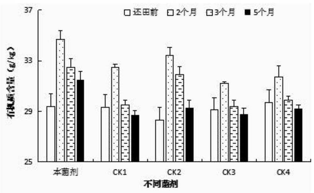 Cold region straw decomposing inoculant as well as preparation method and application thereof