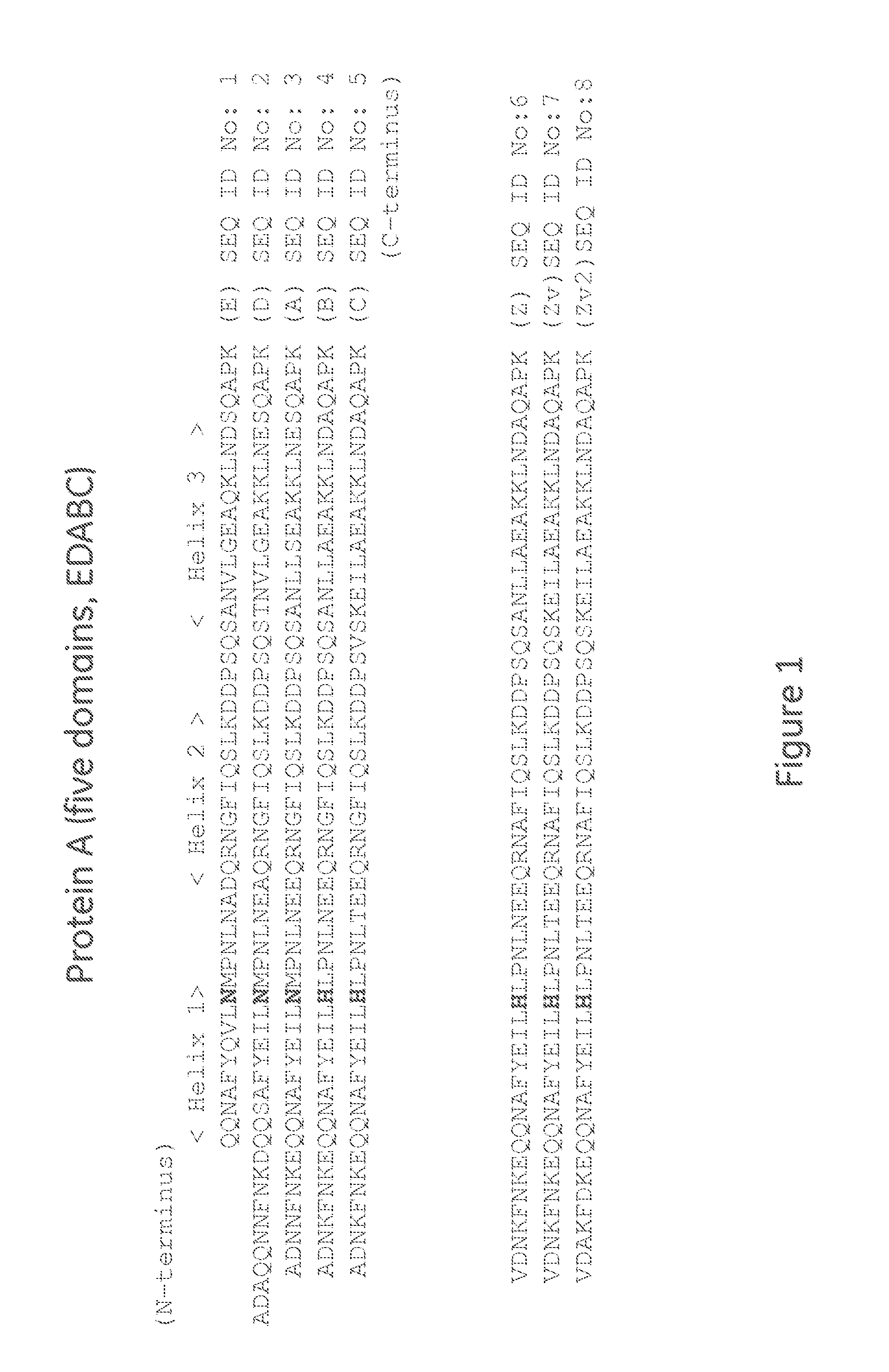 Affinity chromatography matrix