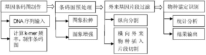 Biological species identification method based on genetic barcode