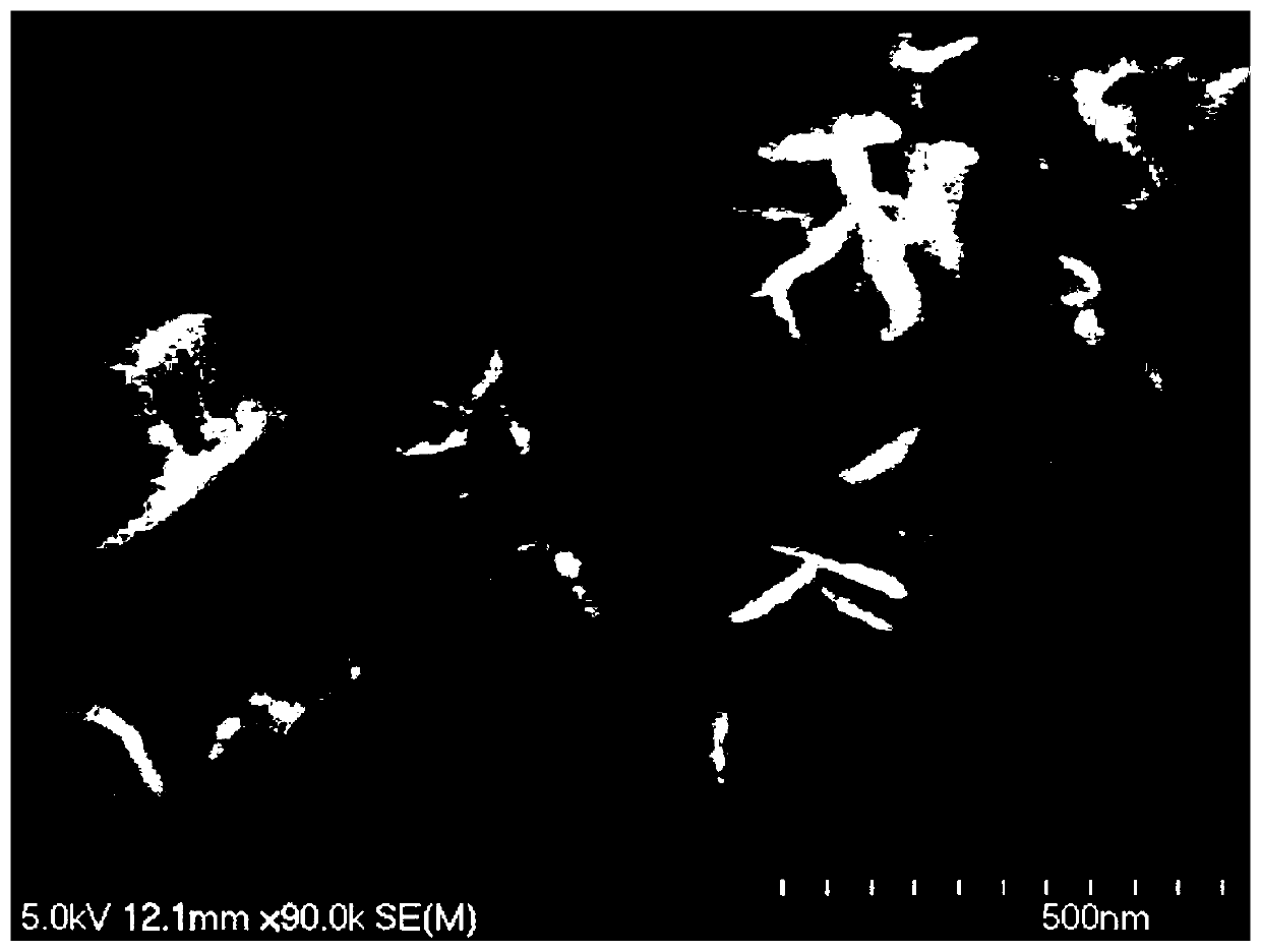 Method for preparing composite material by embedding MoS2 nanosheets in carbon substrate and application of composite material