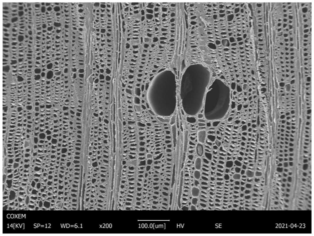 Preparation method of compressed rubber wood with stable size and mildew resistance