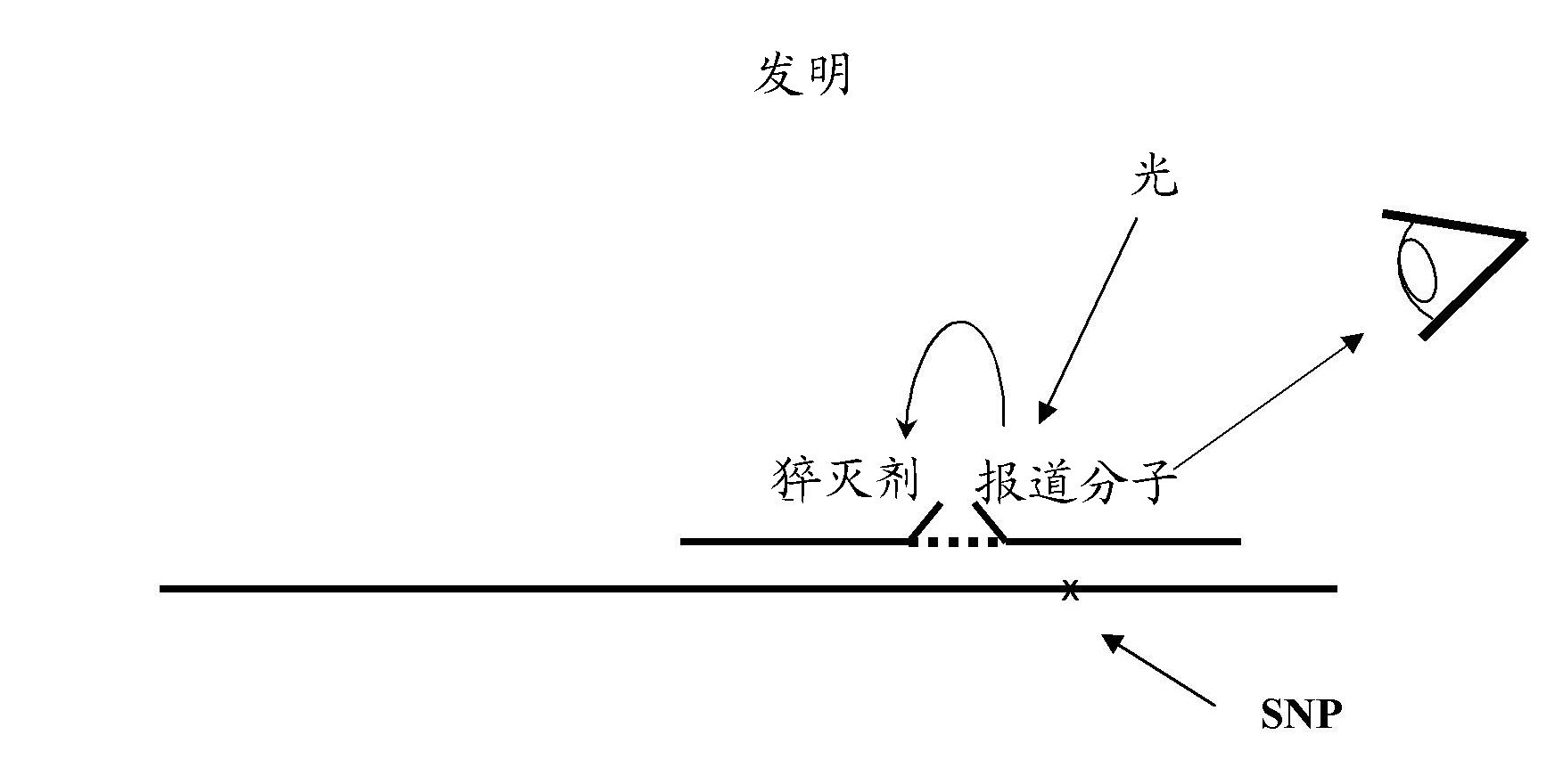 Method for detecting a target nucleic acid in a sample