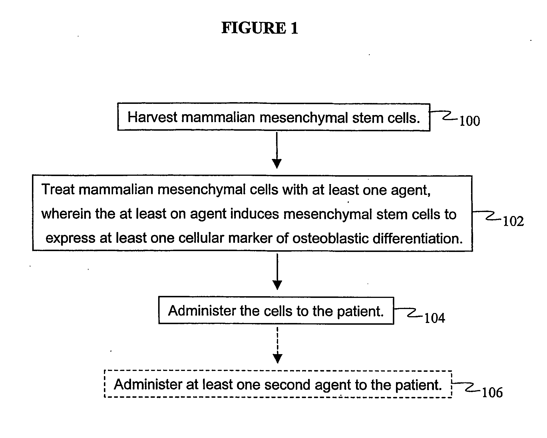 Agents and methods for enhancing bone formation by oxysterols in combination with bone morphogenic proteins